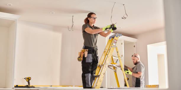 Best Electrical System Inspection  in Deer Park, IL